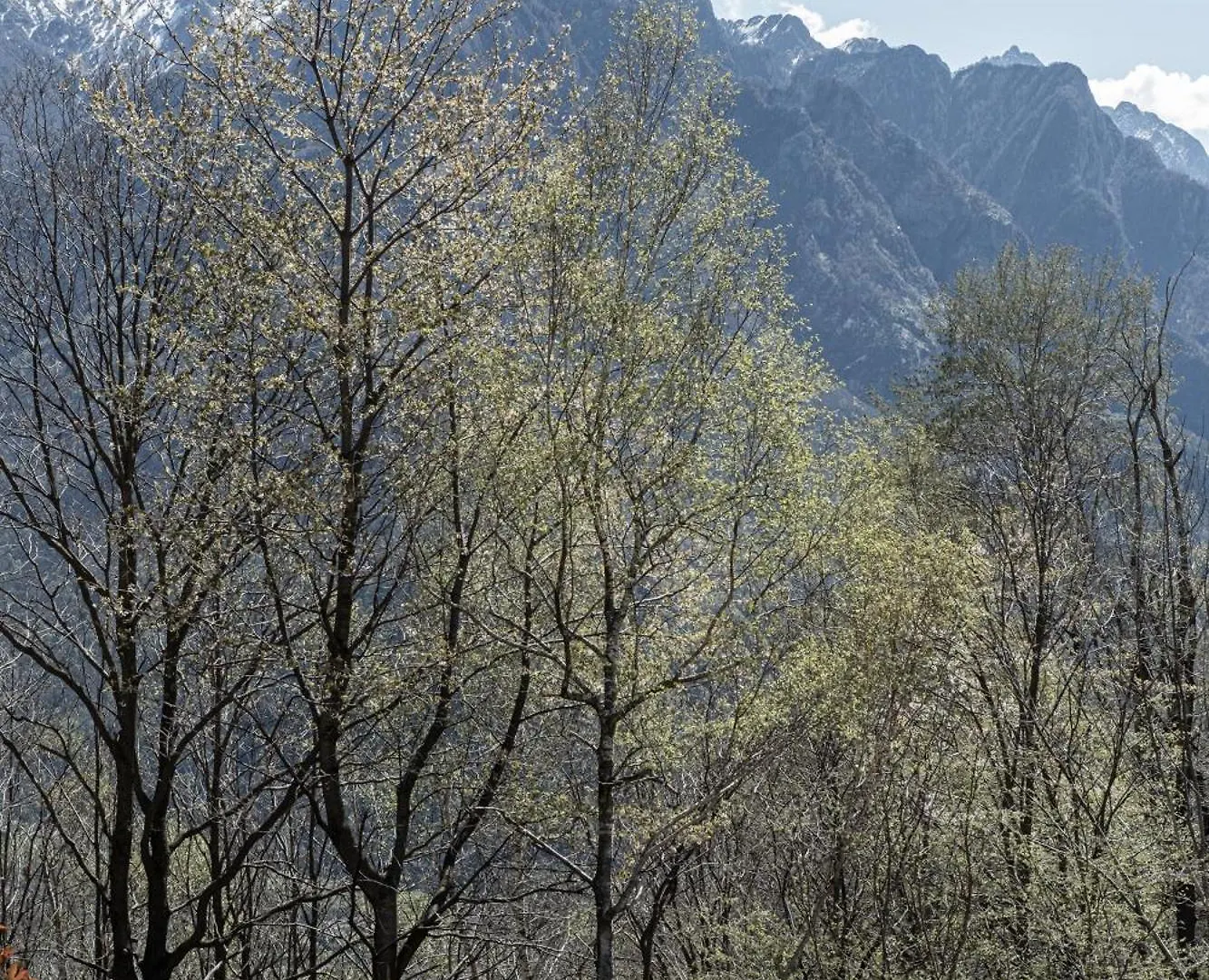Hunum Villa Voga Alpesi faház